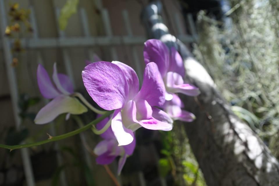Baannueng@Kathu Phuket Exterior foto